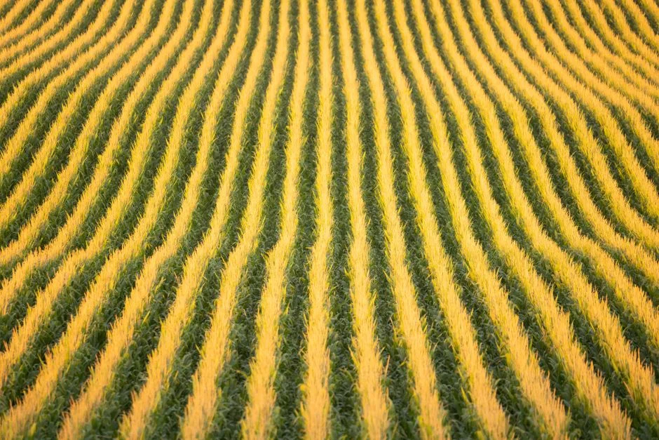 American Farms Are Ready for AI. Their Data Infrastructure Isn't. — Technology