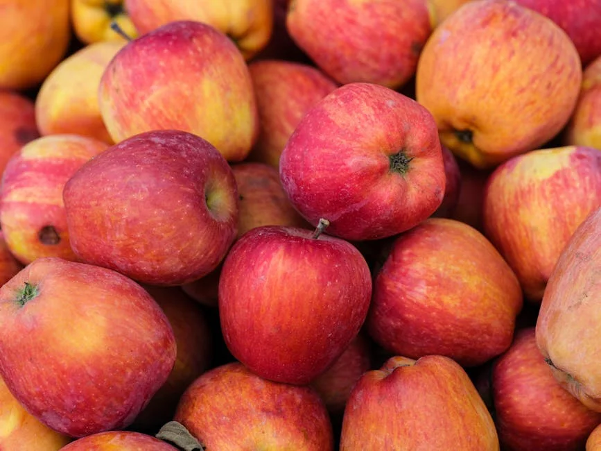 Apple Faces Bias Lawsuit from Indian Engineer — What Investors Must Watch