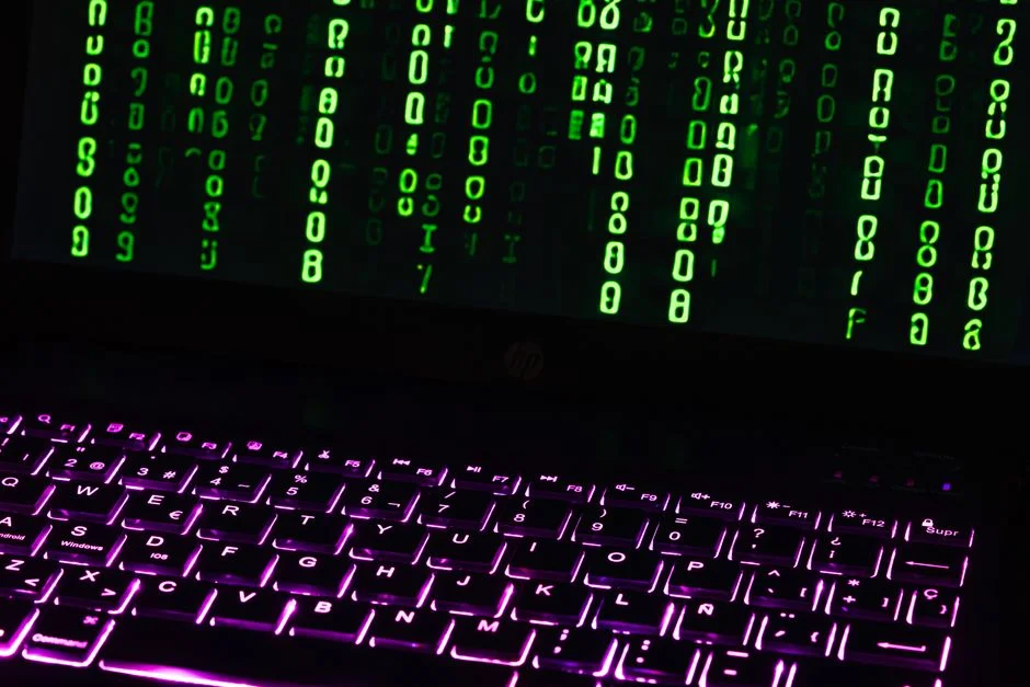 Europa Secures Digital Sovereignty with DNS4EU Initiative — Science