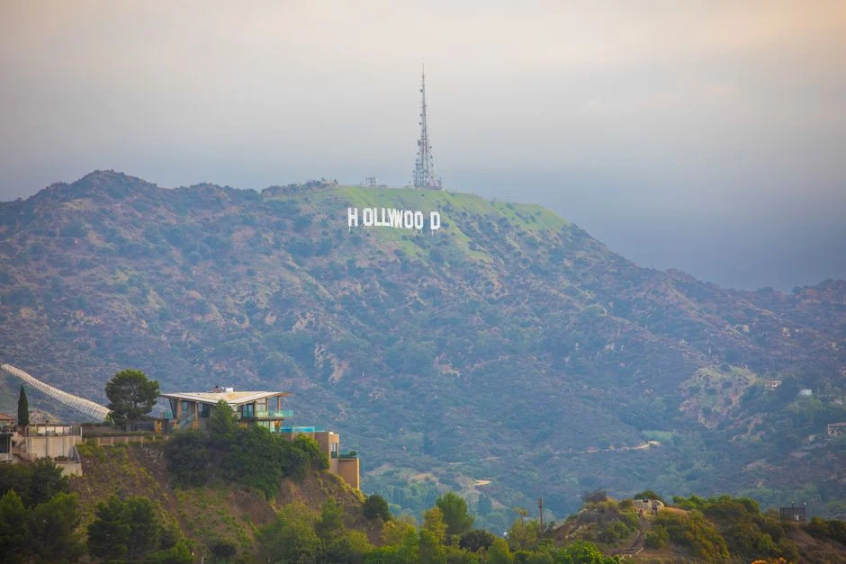 From 4chan to Hollywood: The Backrooms Phenomenon Explained — Business Finance