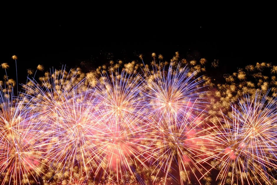 Southern California July 4th Shows Draw Record Crowds — and Cash — Cybersecurity