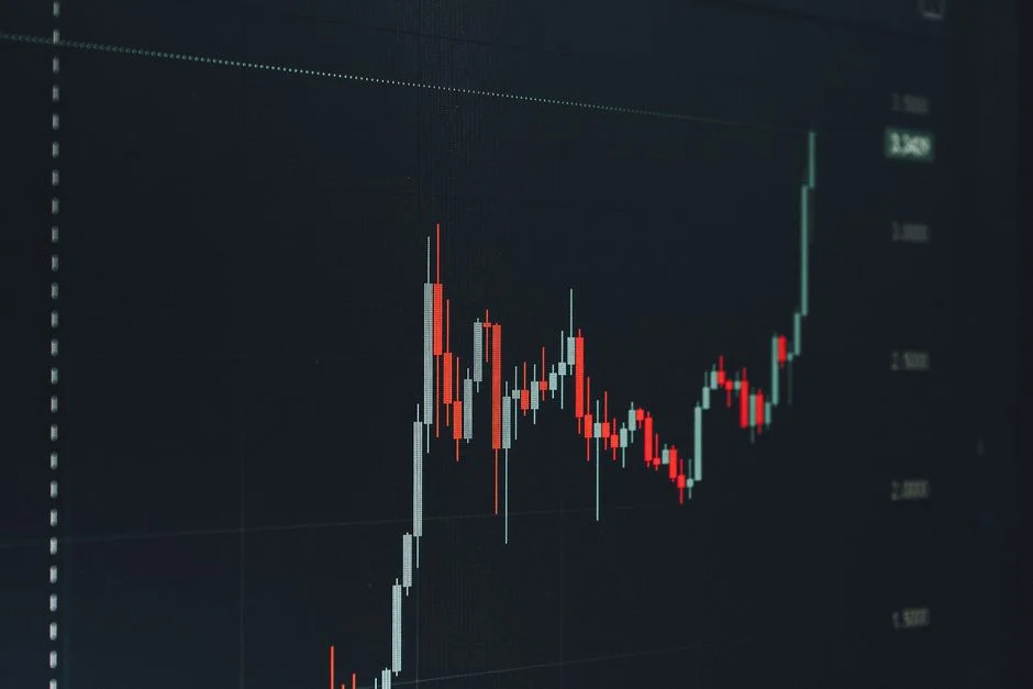 SpaceX Prices IPO at $135 — and It's Already the Largest Ever — Politics World