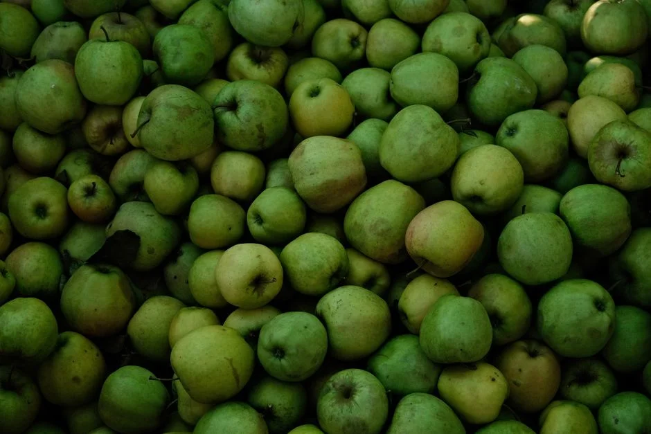 Unseasonal Rains Devastate Himachal Apple Crop — Rs 5,000 Crore Economy at Risk — Science